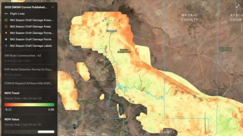 Inteligencia artificial para monitorizar incendios forestales e inundaciones