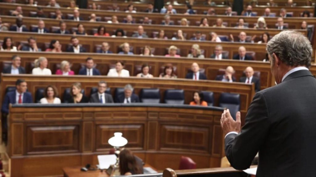 Pedro Sánchez y Alberto Núñez Feijóo se enfrentan en el Congreso en un tenso debate marcado por acusaciones de corrupción y la polémica ley del aborto. ¿Es decente el presidente?