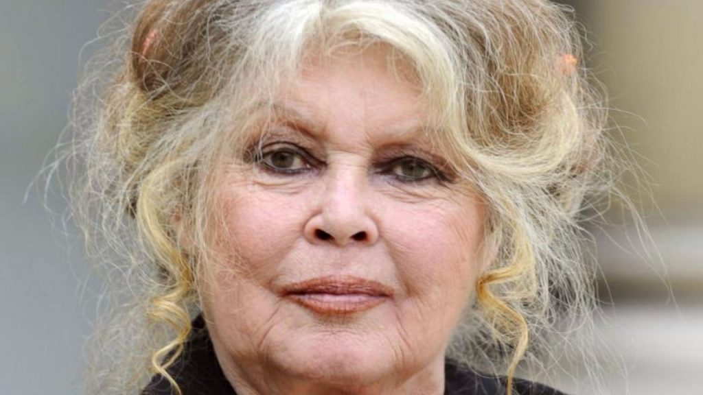 Brigitte Bardot, icono del cine francés, está hospitalizada en Tolón por una "enfermedad grave". Su estado preocupa a fans y medios internacionales.