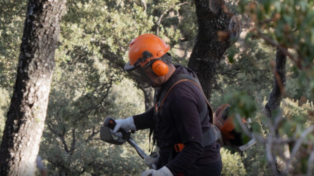 La gestión forestal en La Rioja es clave para frenar el abandono rural, proteger la biodiversidad y reducir CO2, garantizando bosques sanos y resilientes.
