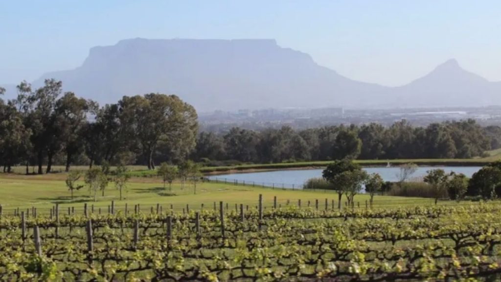 Explora Sudáfrica más allá del safari: disfruta de sus vinos en Stellenbosch, descubre su vibrante cultura y degusta su gastronomía única, desde mercados locales hasta el tradicional braai.
