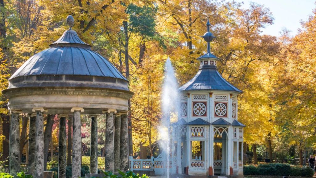Descubre las mejores rutas de otoño cerca de Madrid: naturaleza, senderos y paisajes únicos para desconectar sin alejarte de la capital.