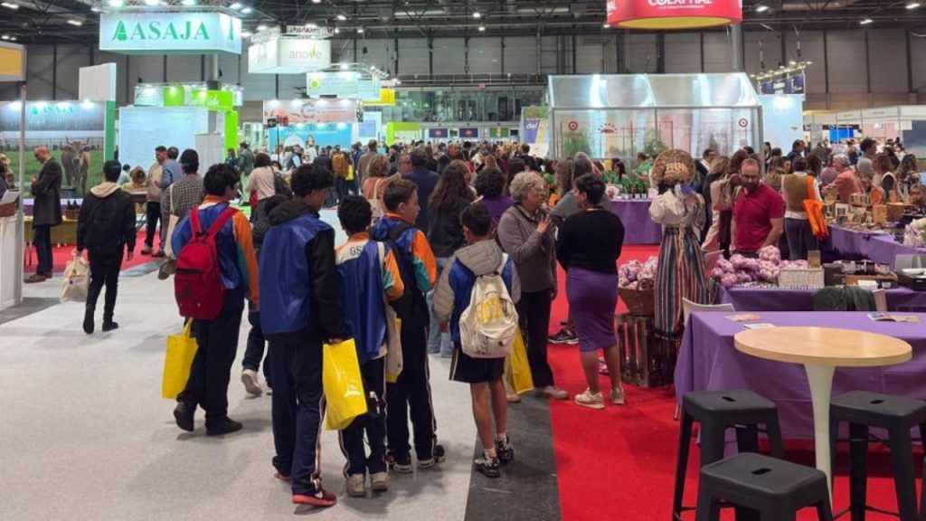 El campo español enfrenta el reto del relevo generacional y la digitalización. Con el 41% de propietarios mayores de 65 años, comunidades y universidades apuestan por IA, drones y formación para revitalizar el sector y atraer a jóvenes agricultores.