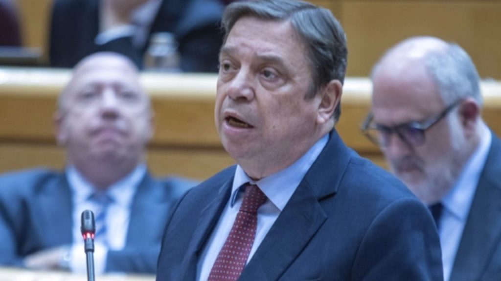 España prohíbe la cría de aves al aire libre a partir del 10 de noviembre ante el aumento del riesgo de gripe aviar, tras registrarse 14 focos en el país y 139 en la UE.