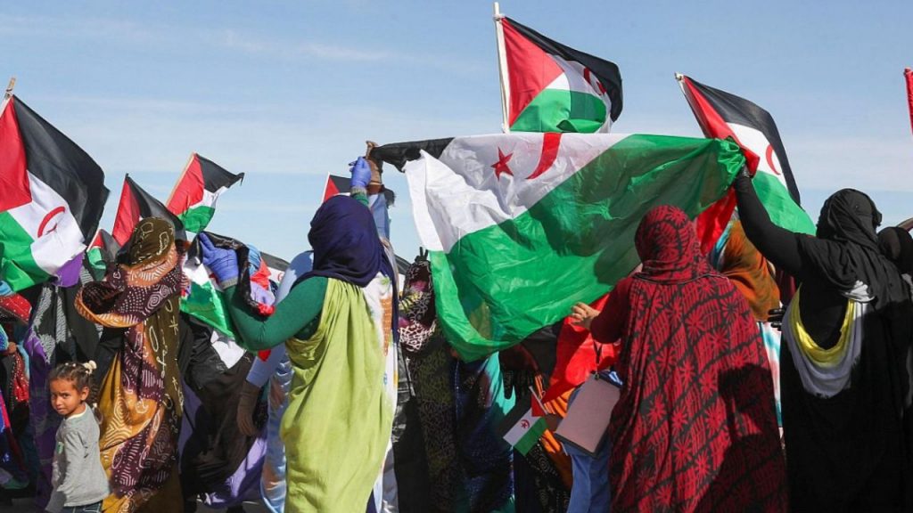 El Sáhara Occidental sigue siendo un conflicto olvidado tras 50 años de resistencia saharaui. Frente a intereses de Marruecos y cambios en la postura internacional, el Frente Polisario defiende su derecho a la autodeterminación.