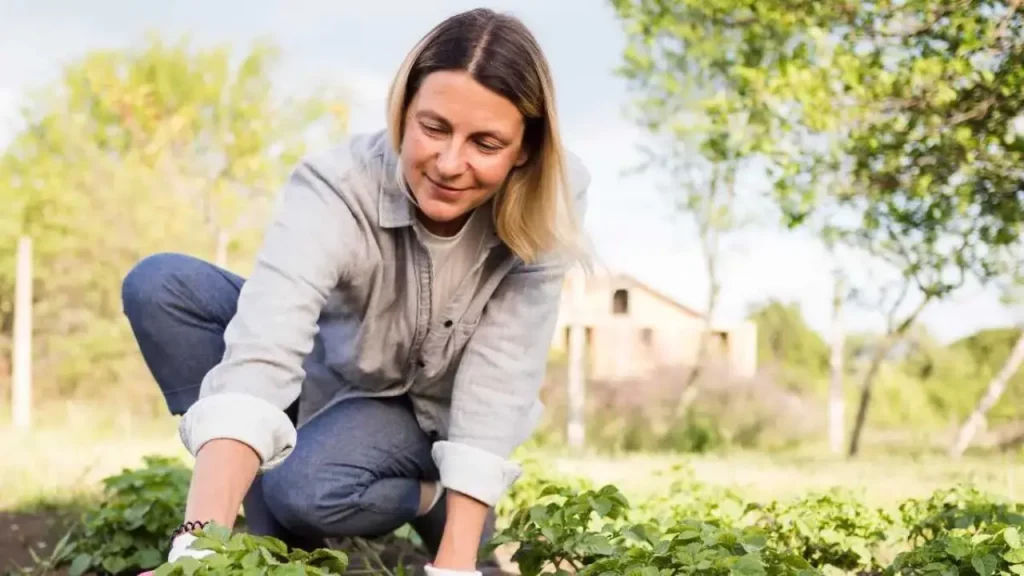 Autónomos y pymes de pequeños municipios podrán optar a ayudas