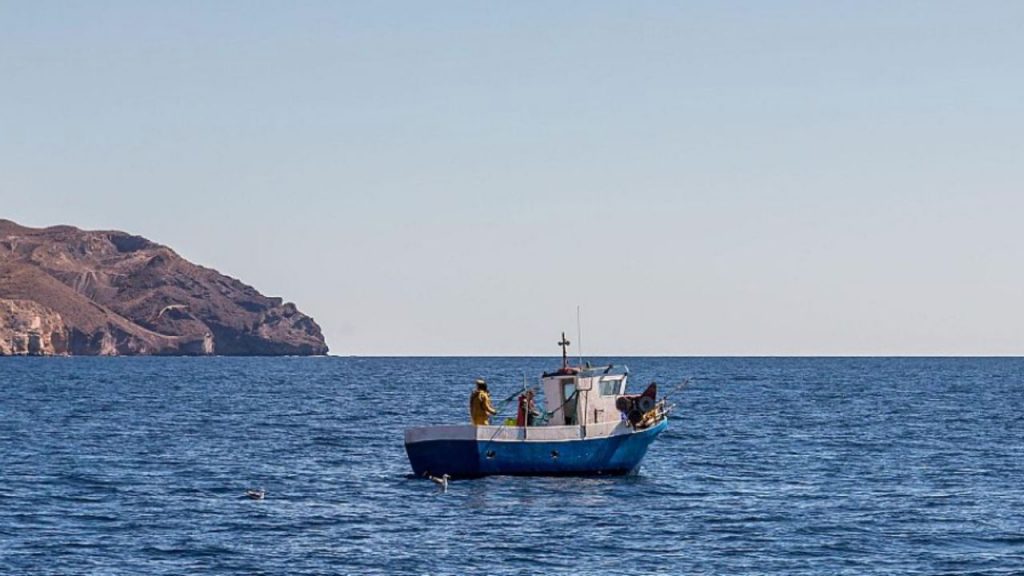 Luis Planas considera “de otro planeta” la propuesta de la Comisión Europea de reducir a 9,7 los días de pesca en el Mediterráneo en 2026, un recorte del 65% respecto al año anterior que, afirma, pone en riesgo la viabilidad del sector. El ministro denuncia que la CE ignora los avances y esfuerzos ya realizados por la flota española en sostenibilidad.
