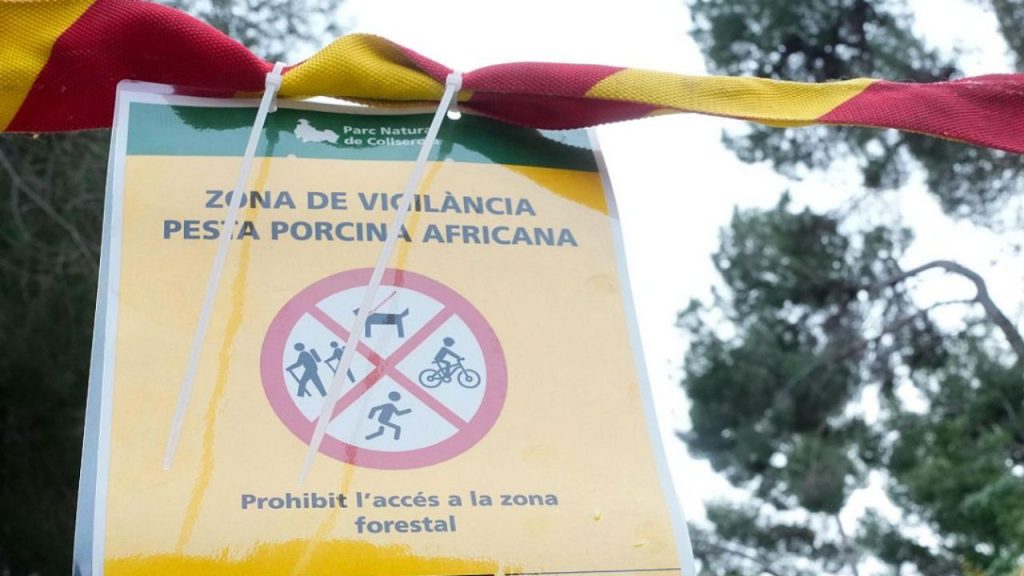 La CE reclama medidas urgentes a España ante el brote de peste porcina en Cataluña, mientras la UME despliega efectivos para contener la expansión.