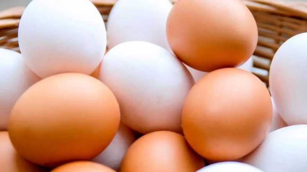 La OCU denuncia que huevos camperos siguen en venta pese al confinamiento por gripe aviar, cobrando precios más altos por un etiquetado engañoso.