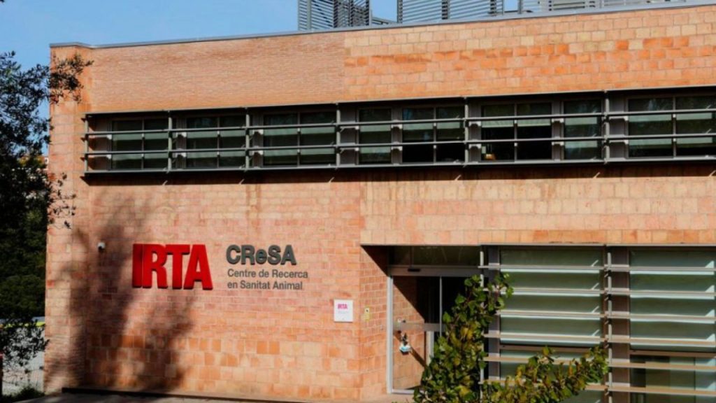 Mossos d’Esquadra y Guardia Civil registran el laboratorio IRTA-CReSA en Cerdanyola del Vallès por una investigación judicial sobre un brote de peste porcina africana que ha causado la muerte de 26 jabalíes. El registro, autorizado por un juzgado y bajo secreto de sumario, abre serias dudas sobre los protocolos de bioseguridad y el control en laboratorios públicos de sanidad animal. El caso pone bajo presión a la Generalitat y reaviva el debate sobre la gestión, la transparencia y los riesgos en la investigación con patógenos animales en España.