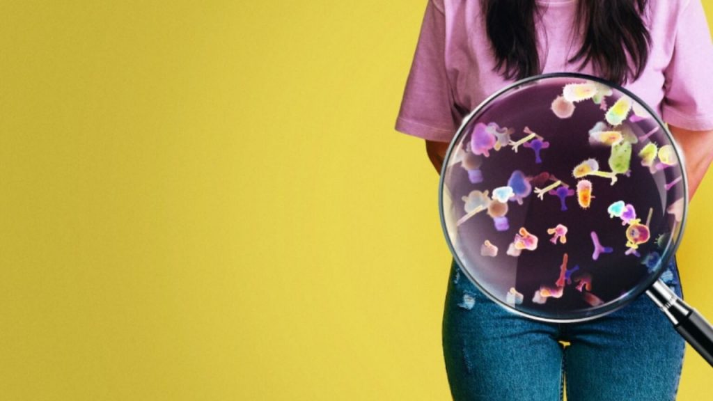 El intestino y su microbiota influyen de forma directa en la salud física, mental y emocional. El eje intestino-cerebro explica por qué cuidar la alimentación es clave para el bienestar integral.